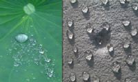 有機(jī)硅建筑防水劑